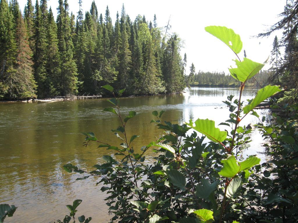 Gite De La Riviere Bed & Breakfast Шибугамо Екстериор снимка