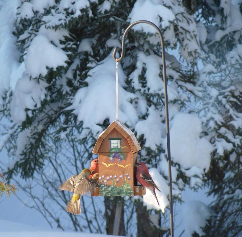 Gite De La Riviere Bed & Breakfast Шибугамо Екстериор снимка