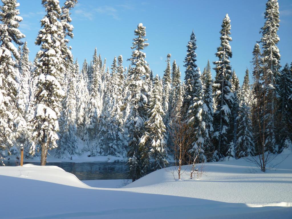 Gite De La Riviere Bed & Breakfast Шибугамо Екстериор снимка