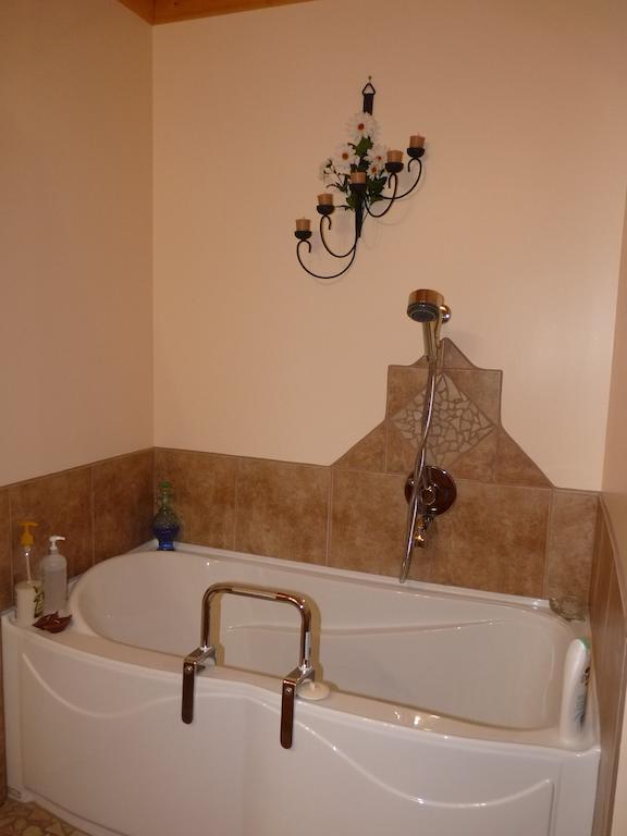 Gite De La Riviere Bed & Breakfast Шибугамо Стая снимка