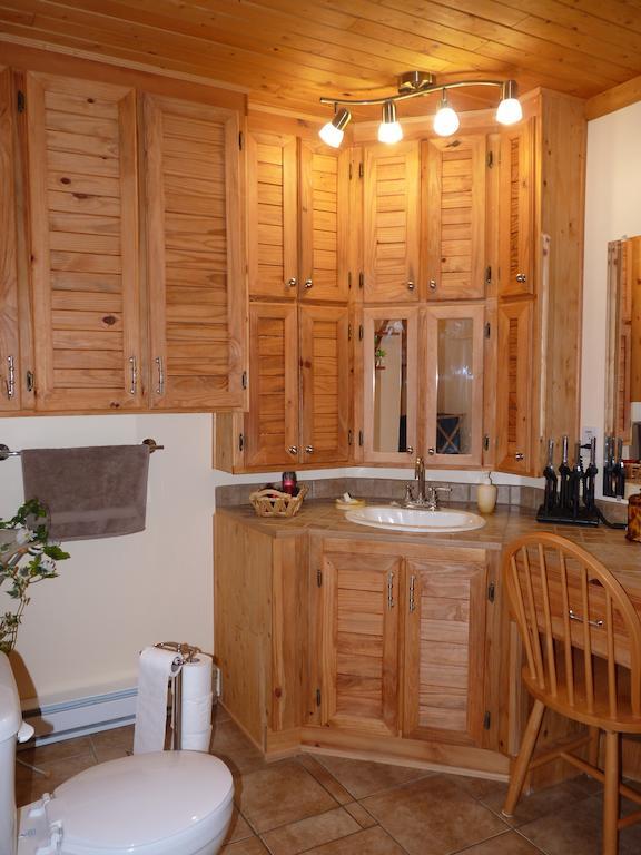 Gite De La Riviere Bed & Breakfast Шибугамо Стая снимка